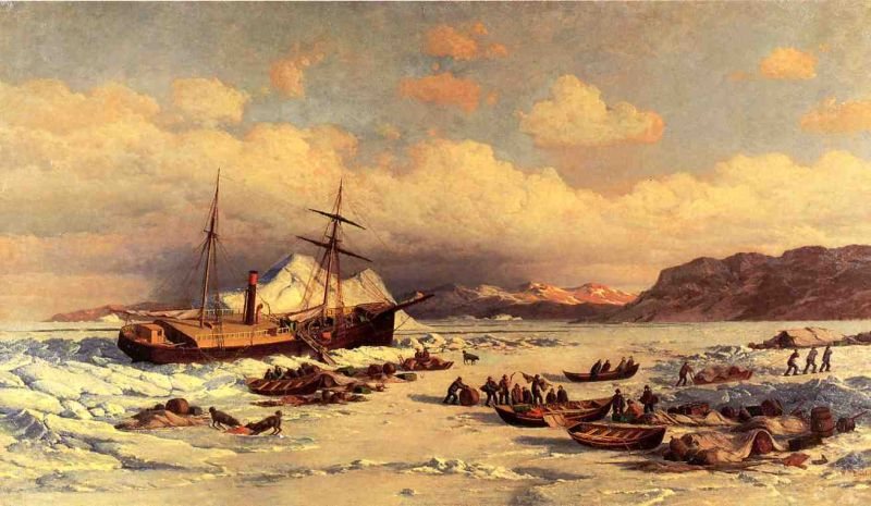 William Bradford Voyage